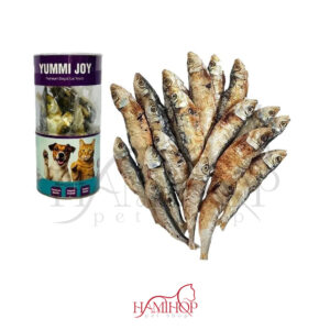 تشویقی گربه و سگ مدل موتو ماهی 100گرمی برند yummi joy