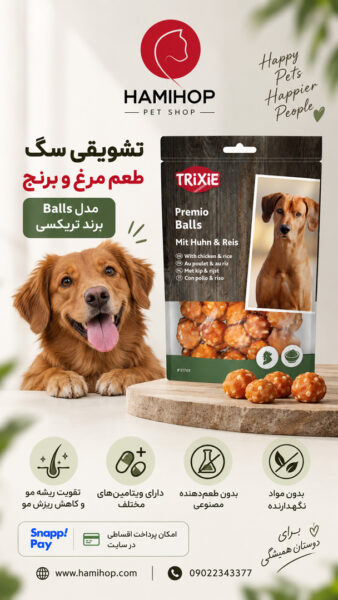 تشویقی سگ