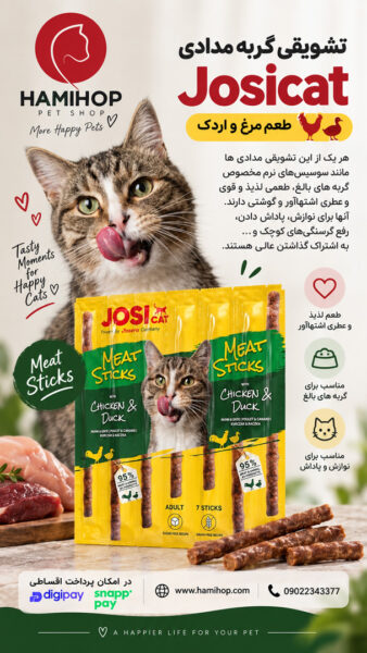 تشویقی گربه