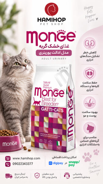 غذای خشک گربه