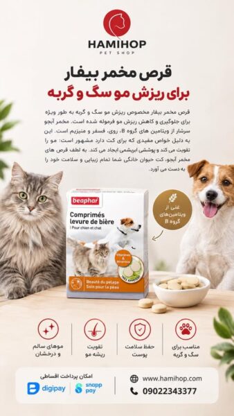 قرص مخمر بیفار